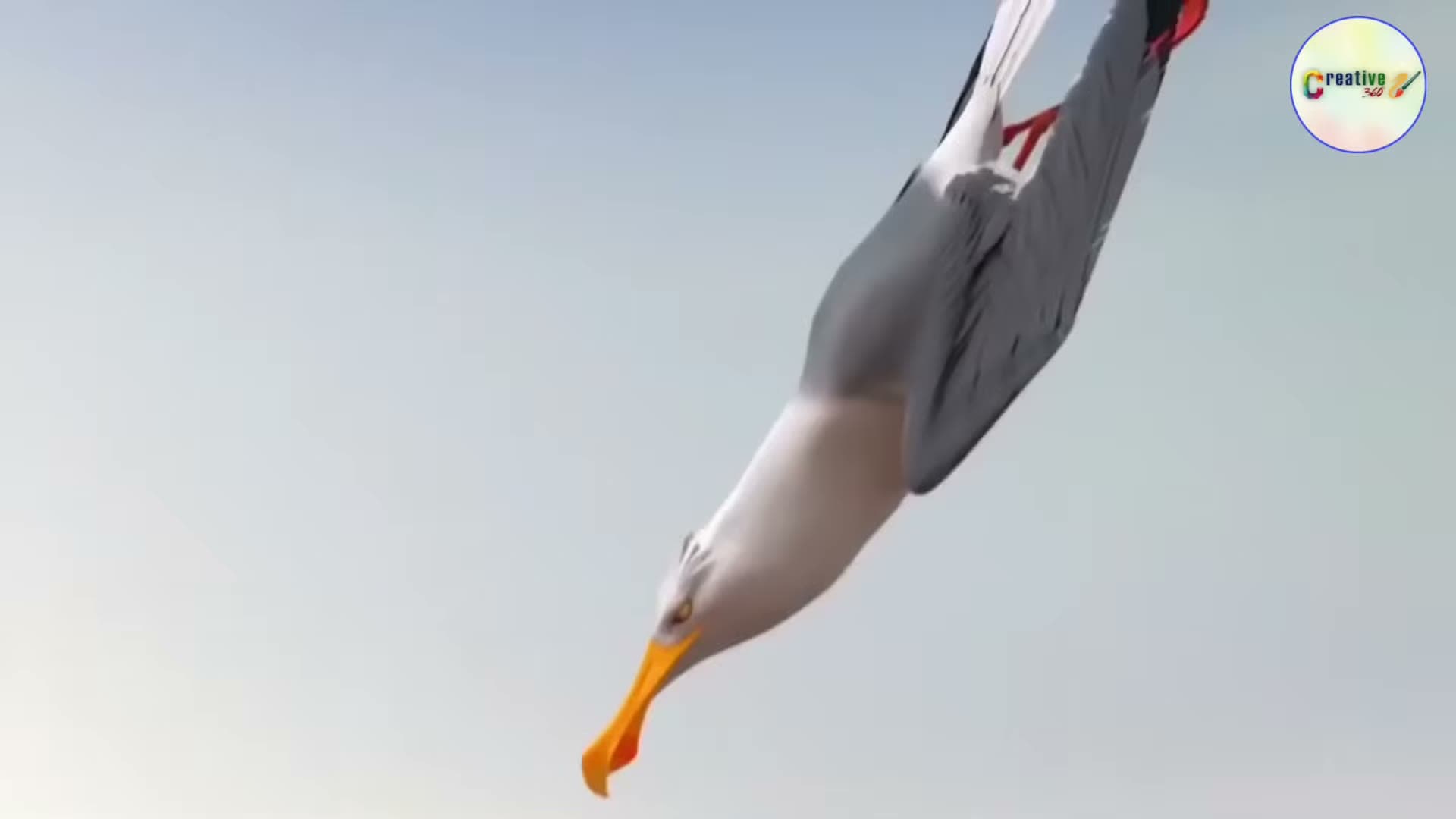 Lider Doğmaz, Oluşur